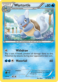Wartortle Boundaries Crossed card