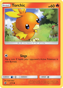Torchic Dragon Majesty card