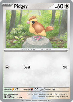 Pidgey Obsidian Flames card