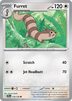 Furret Journey Together card