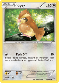 Pidgey Flashfire card