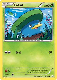 Lotad Primal Clash card