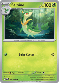 Servine Perfect Order card