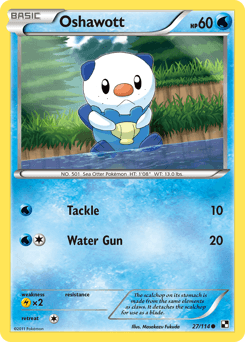 Oshawott Black & White card