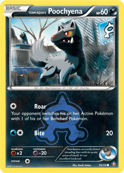 Team Aqua's Poochyena Double Crisis card