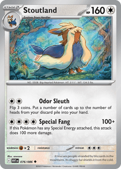 Stoutland White Flare card