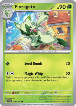 Floragato Paldea Evolved card
