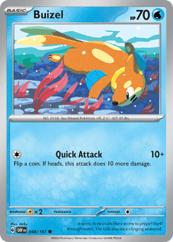 Buizel Obsidian Flames card