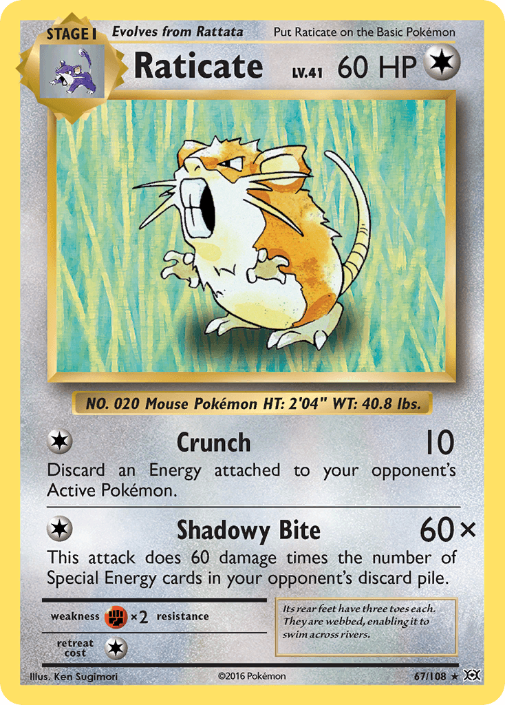 Raticate Evolutions card